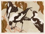 Murray Griffin Magpies